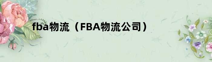fba物流（FBA物流公司）